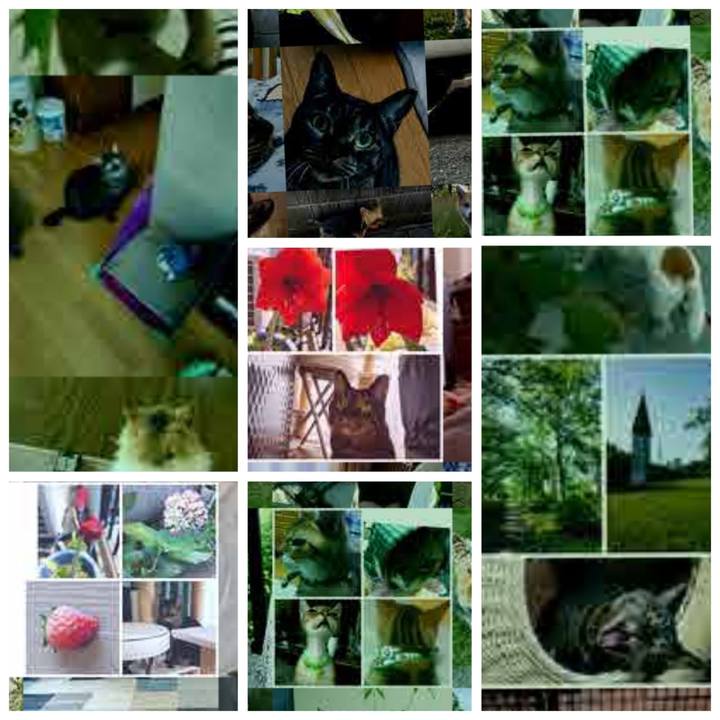 Ad0b8645 242a 435e b15a 8fa467bd447f 1781563848338