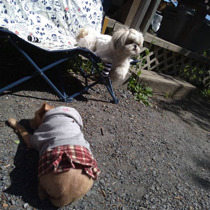 Ad0b93df 8ede 4309 af3b f380f8c5790a 1619397942815