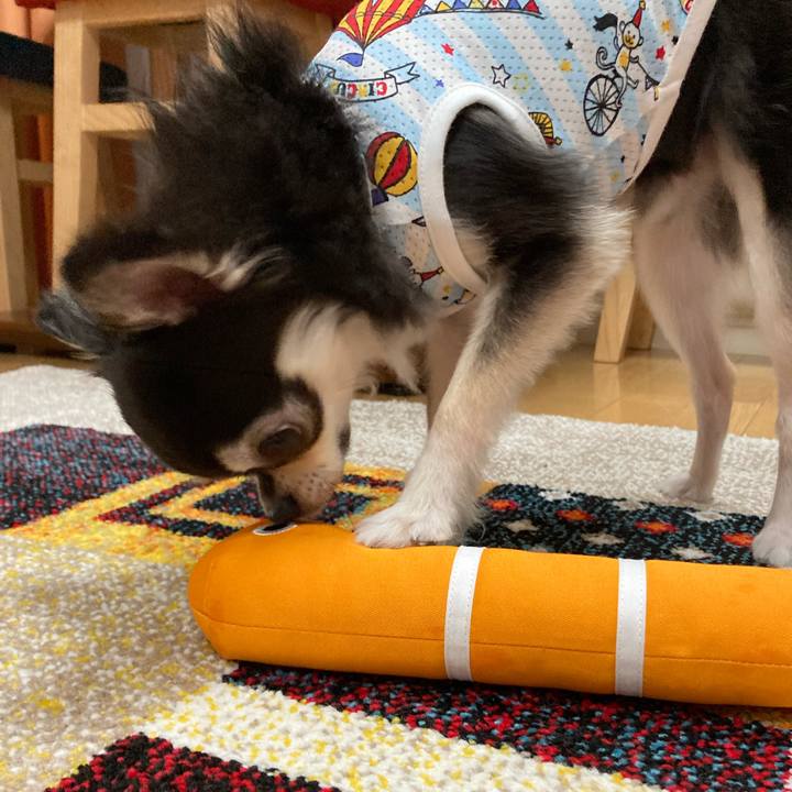 Ad0baa60 a45e 4ddb afc1 2409f9fc7dc5 1686409961544