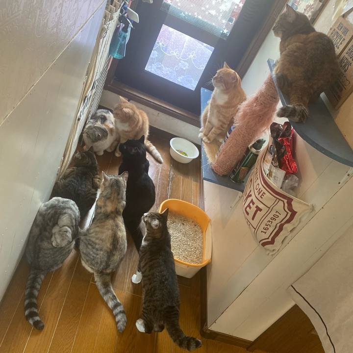 Ad0bc195 dd29 4e2d 85a3 62dd0c94f1eb 1656719126293