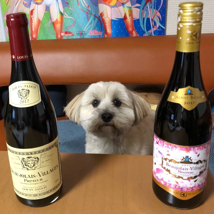 Ad0bd0cf 630c 4946 a0ab a963ec507449 1510837388988