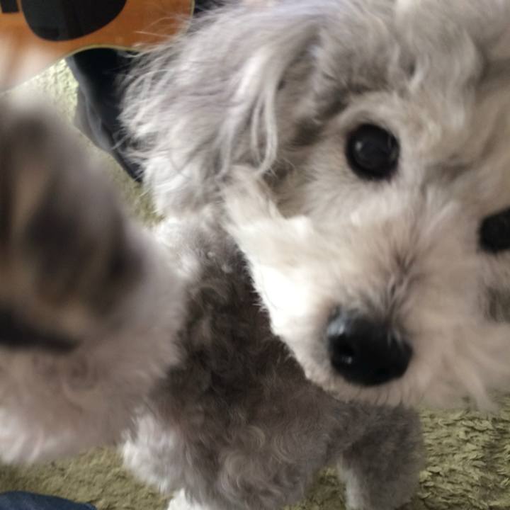 Ad0bd1b0 f329 459b 88d4 87c1fdce0707 1725529789825