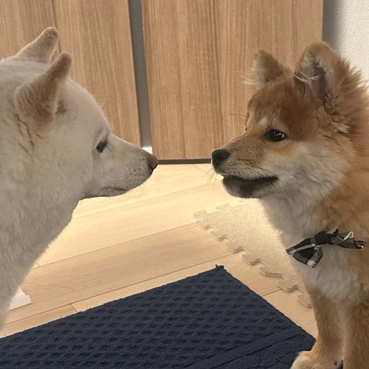 Ad0c006f 2835 4913 8fbb f330eb797a91 1774762628671