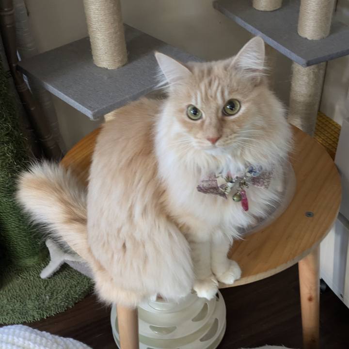 Ad0c0172 dd91 4fea b9fe c674c5404acc 1770598174375