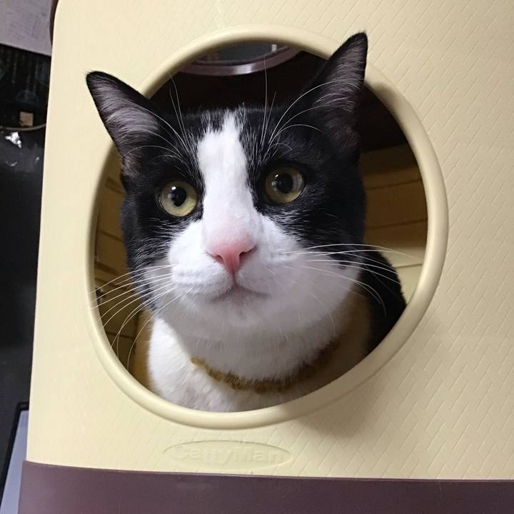 Ad0c4a51 6031 4da6 a0bb 7060590ee6c4 1647924506817