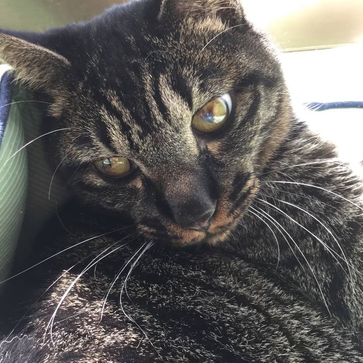 Ad0c78f4 7738 424f bc88 09a76a446d06 1677135763344