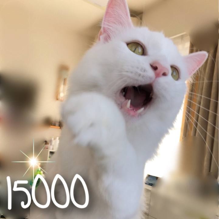 Ad0c7c88 fea1 49ab 8465 660c5c91b37c 1544014166175