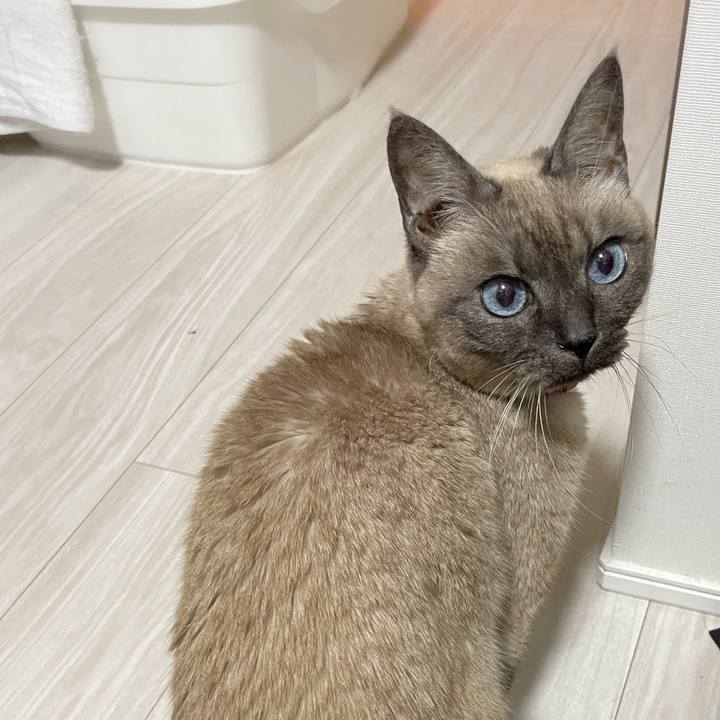 Ad0c93ff d597 48cb a4cc fd97a5ca5f4a 1771159584091