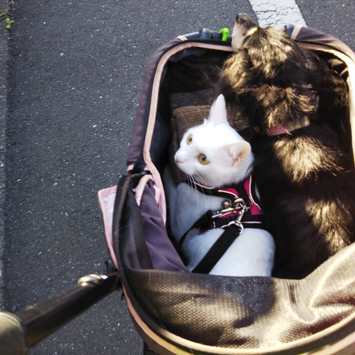 Ad0c9427 e25a 44e5 bfc2 b38c9b8d2a80 1636687954425