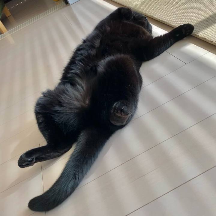 Ad0c9e2f 45b3 477d a7f5 8ef1358e2366 1617324909524