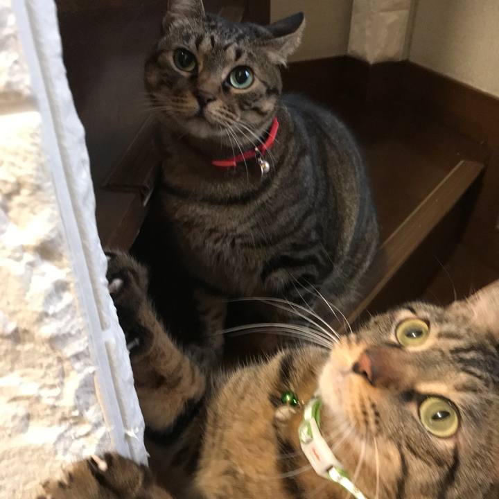 Ad0cd035 6356 41d2 a0c5 e05f3a055cbe 1576343711670