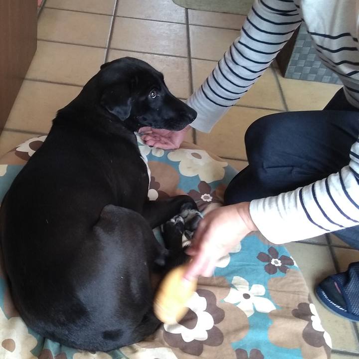 Ad0ce750 5c39 4f59 a4ff 682114d97131 1604399246852