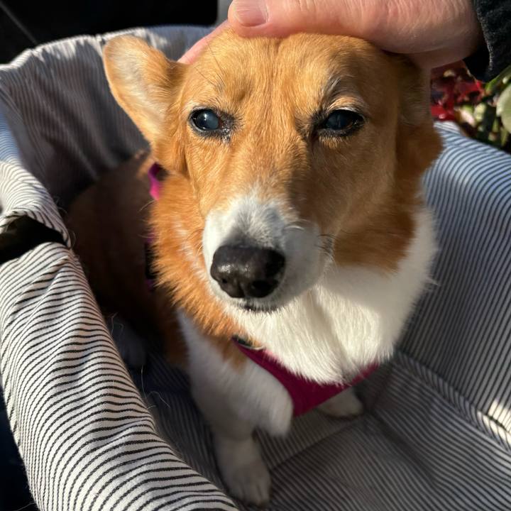 Ad0cfaaa 26d2 4ea6 a80c 6f7323acfda0 1735786915315