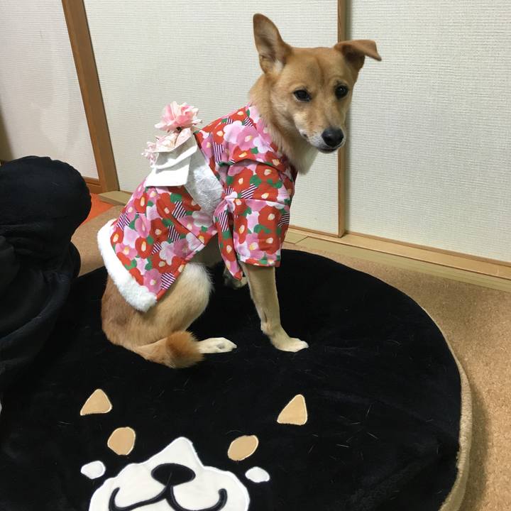 Ad0d4616 29dc 4f69 bed4 e0dfa879a607 1511192691031