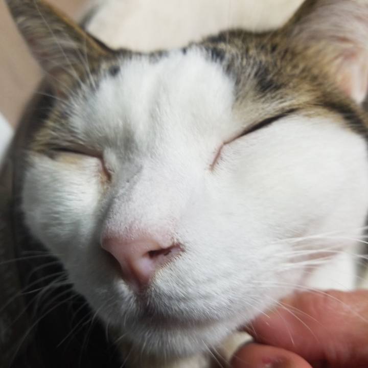 Ad0d46c3 98d6 4974 aa4e 4c0b77664c36 1579517790736