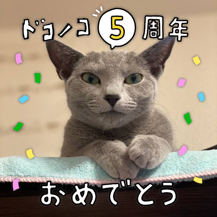 Ad0d48fa b848 4108 a63c 2dcb170230a9 1622898518279