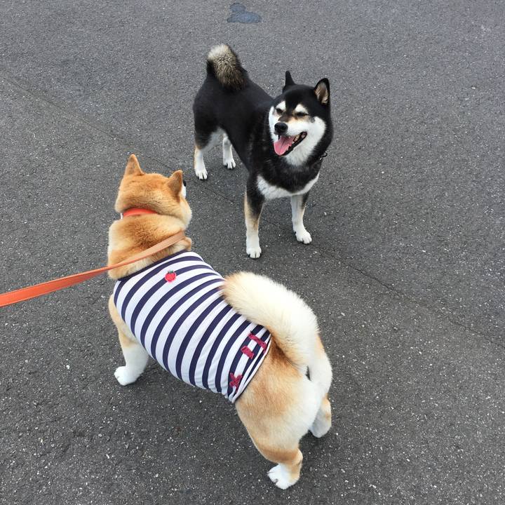 Ad0daf91 cc05 4a3f 8a57 1651ff653598 1558059485592