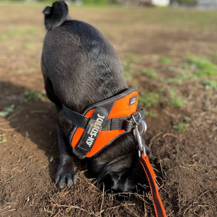 Ad0e1cdc 776e 4f04 93eb 22b437e8dd25 1617148575794