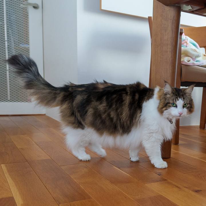 Ad0e3cf2 3f4e 47b5 810d b737def0e344 1736421284400