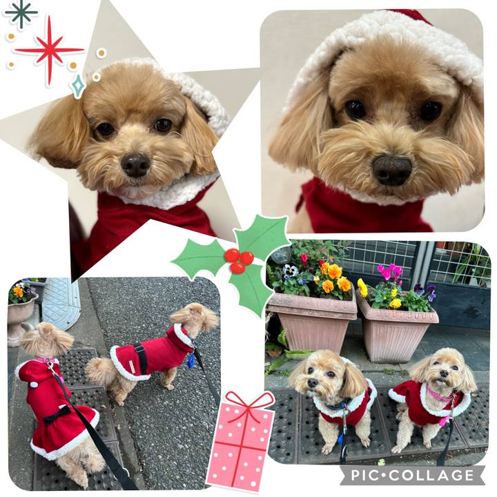 Ad0e5aab 069d 4002 85bf ca6cf46817a5 1703440476188