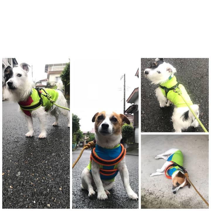 Ad0e7785 9acd 4799 9e05 9c27d6cf8dd6 1529476651125