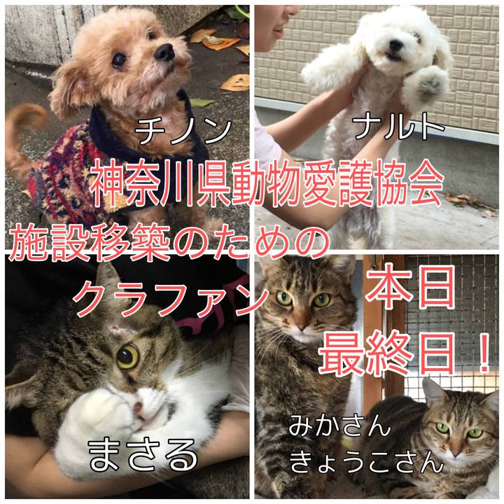 Ad0e97ce ecdd 4736 8bb6 5c5abf7a886c 1689303628290