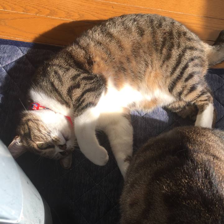 Ad0ec149 b5c8 4cd3 823d f62ec9af8a5f 1549513099763