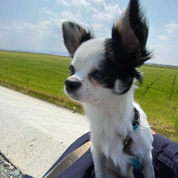 Ad0ed4ca 9d42 40be ace6 a34ef6c75479 1587175435512