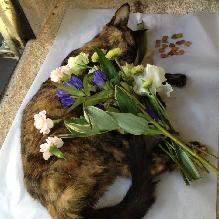 Ad0edf84 02d3 4db3 9bf4 4eac9e01af7d 1522158881535