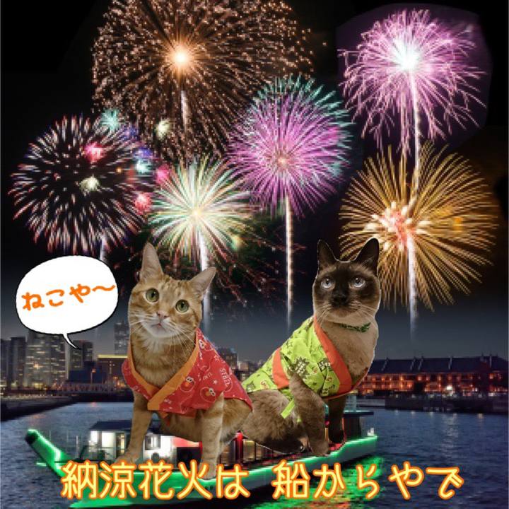 Ad0efacc 50c0 466c 8a0e 8933fd57abcf 1565617005878