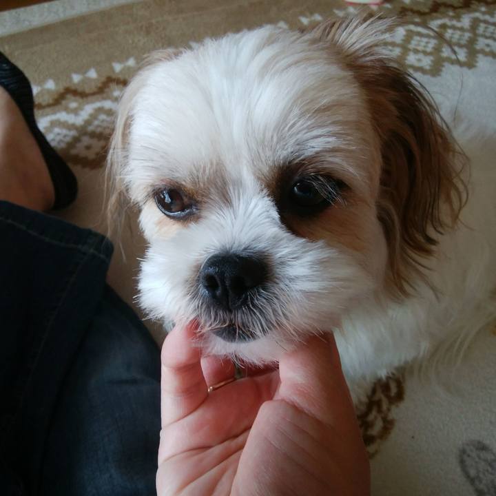 Ad0f03ca 7989 452d 9b15 f32a32a2bf34 1526449282554