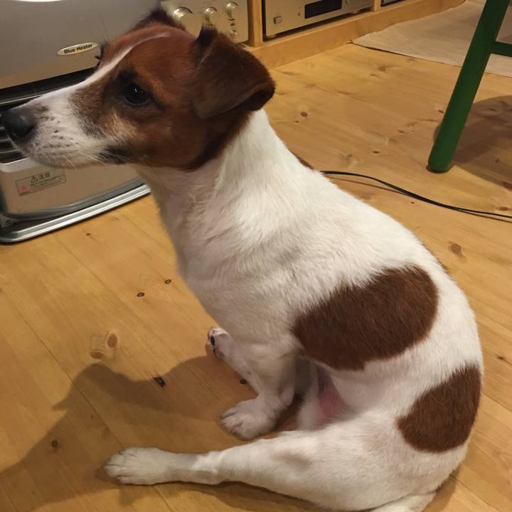 Ad0f0a06 9c00 4868 940c 9f5753b9ef25 1510273691185