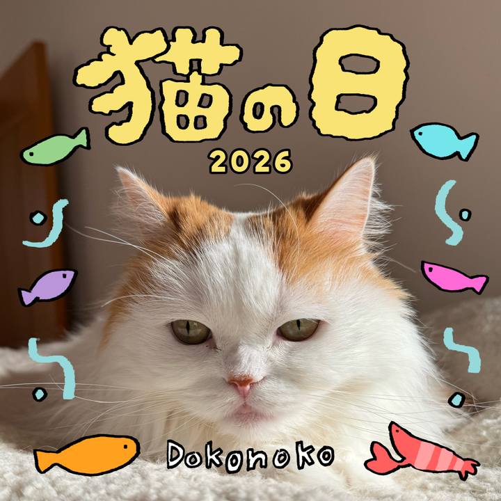 Ad0f2006 bd20 4aed a647 85e68fa201f3 1771707692161