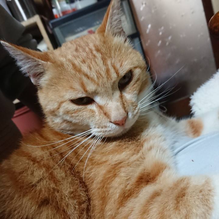 Ad0f5060 ca0a 475a a1f8 2fff7076a6d6 1589672088639