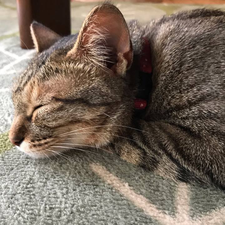 Ad0f64b3 4e6d 43ae 8276 a3687647a959 1589240641213