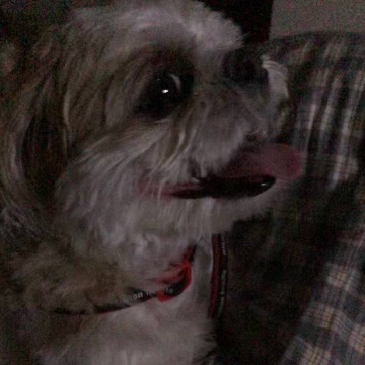 Ad0f8901 d88b 442a bcf3 ef72db5de5ca 1588599314090