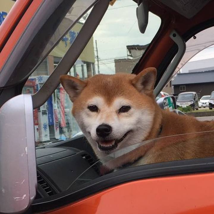 Ad0f89d3 c6cf 43d7 96db 818d7152e6f9 1566376393814