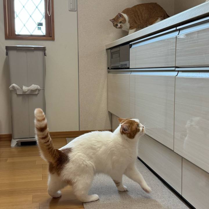 Ad0f9ad0 6a46 4965 a1b3 71f6163d93ec 1775705046080