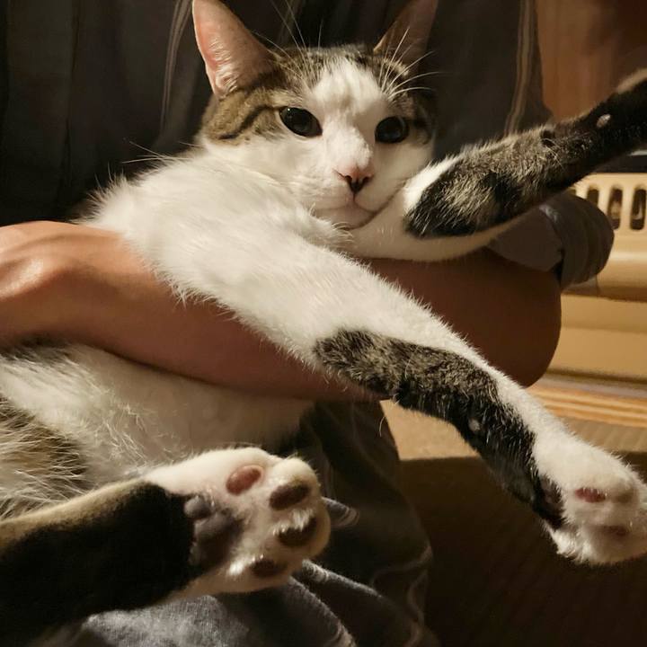 Ad0fa477 36be 4d7b 9879 7b20b80e0c68 1765320247784