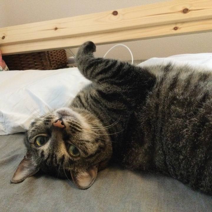 Ad0fa630 40dd 49a3 a881 80a60e903f9a 1621471648027