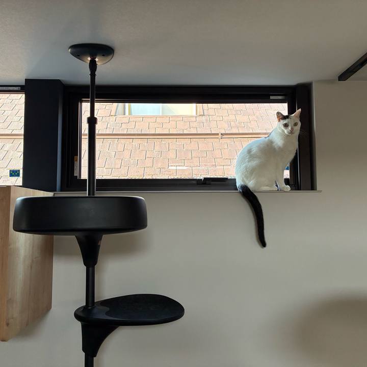 Ad0fb658 4a69 4bb0 8161 24ba02d54794 1768780884734