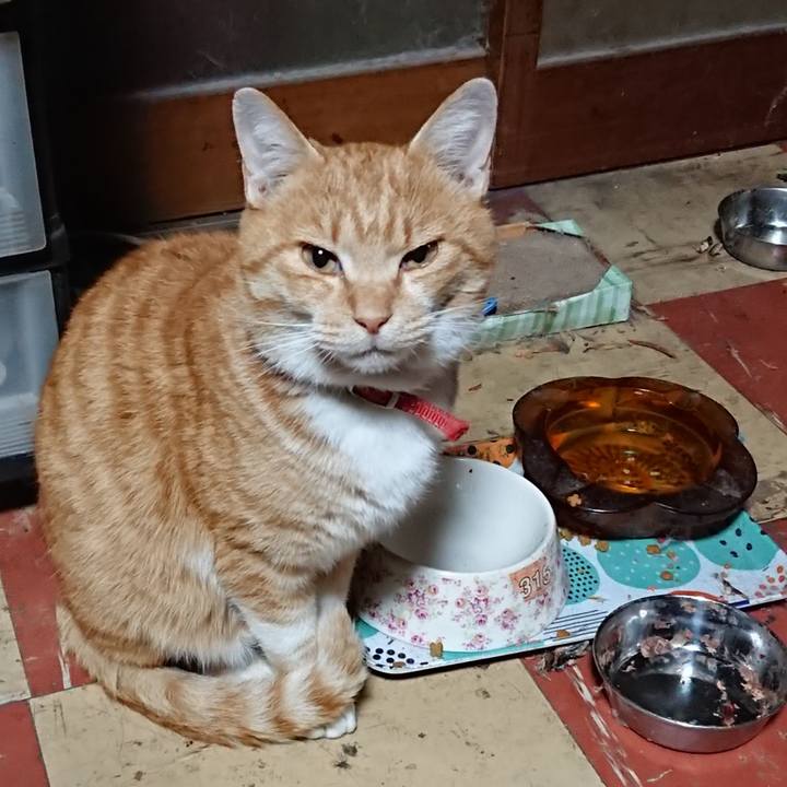 Ad0fc1b1 50b1 4b17 8508 56b87a904493 1574196423921