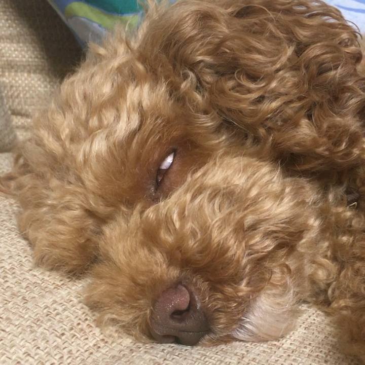 Ad0fc659 c18a 4e0f 8f46 600a75162e5c 1523879295574