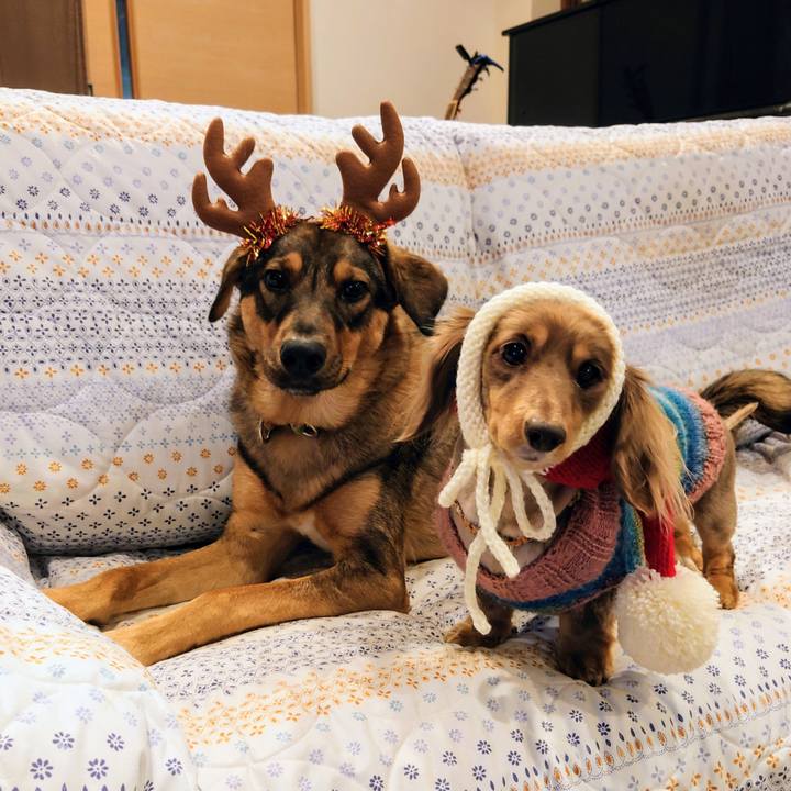 Ad101179 d372 4228 b4df 90e3115c83c2 1703408061506