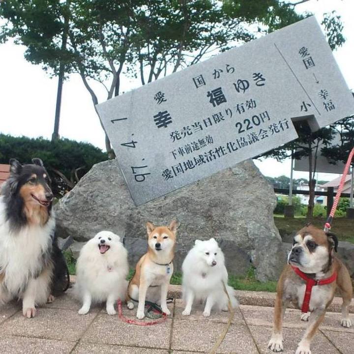 Ad109cd7 ce31 4f99 9618 eef5b19eabb4 1640008049529