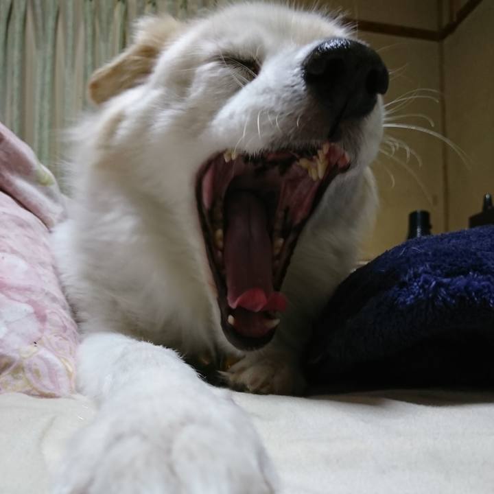 Ad10a52a 9d41 4cb0 86ba d4772746e20e 1639433632931