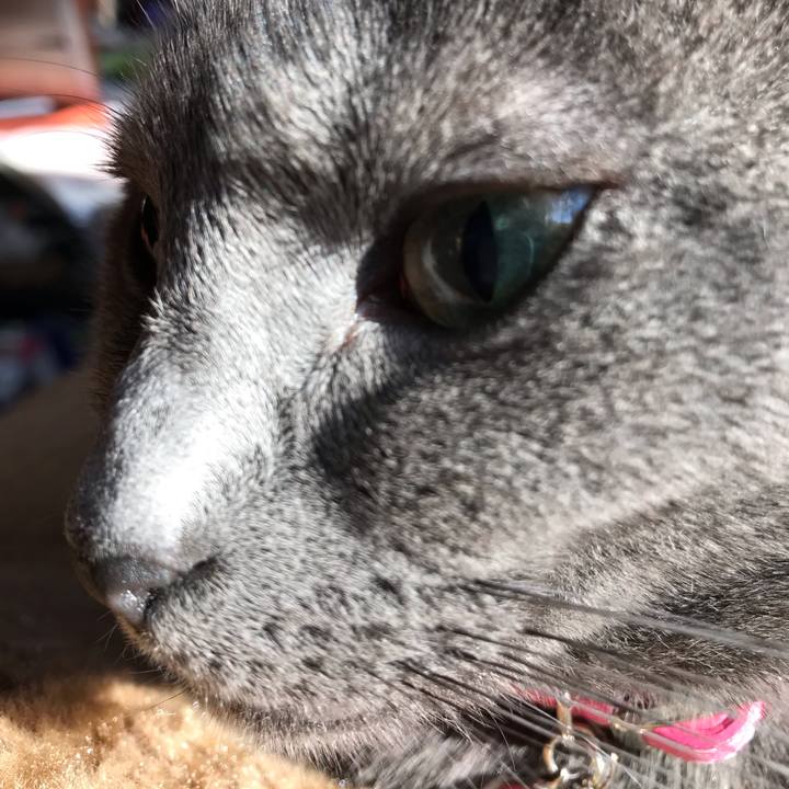 Ad10c3bd c529 455d 9690 99ef8ba3ad9a 1542410971695