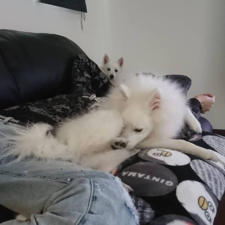 Ad10ffc2 6465 4e20 a8d3 3999049b4df5 1554625909710