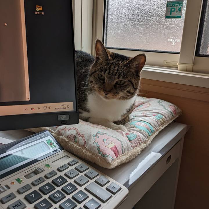 Ad1112b1 1d53 4e98 ba15 b995bb95ae4d 1709515708374