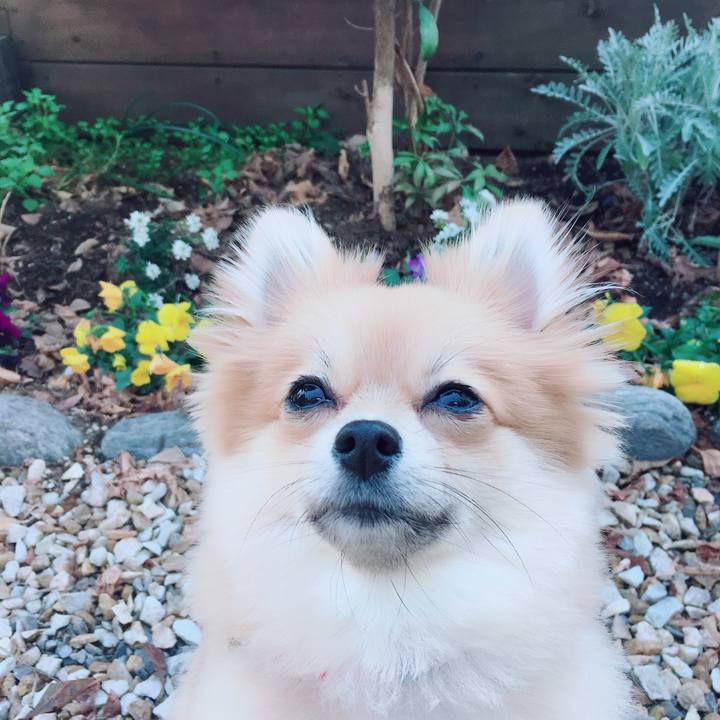 Ad113202 8384 4530 b717 1ed89d5ec1d8 1519991581142